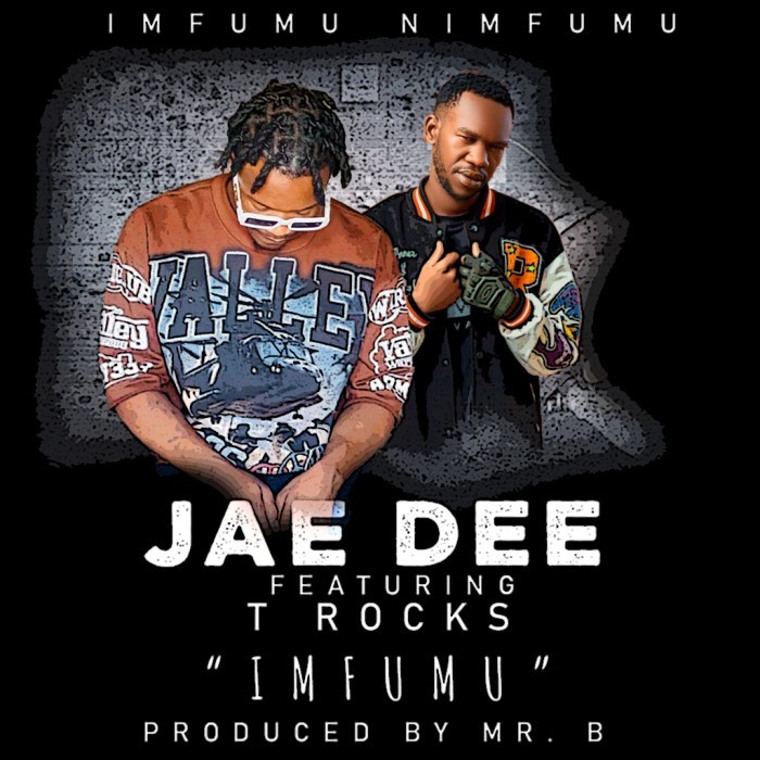 Song Cover